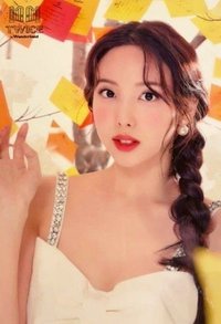TWICE in Wonderland 明信片 大卡