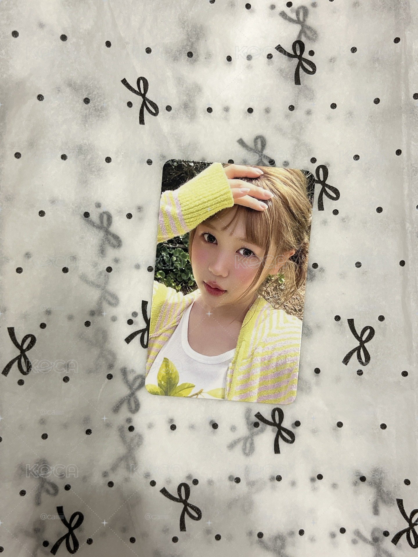 迷二 專輯卡 Lemon Beach Ver.yeon