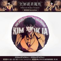 舒適手感抱枕A