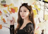TWICE in Wonderland 明信片 大卡