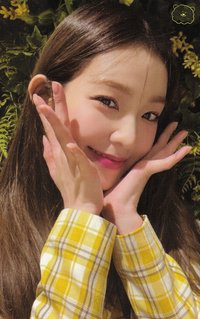 23年曆 周邊卡 卡冊姐