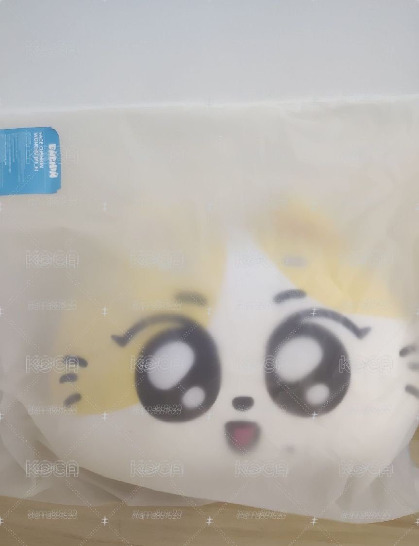 元啾抱枕 全新