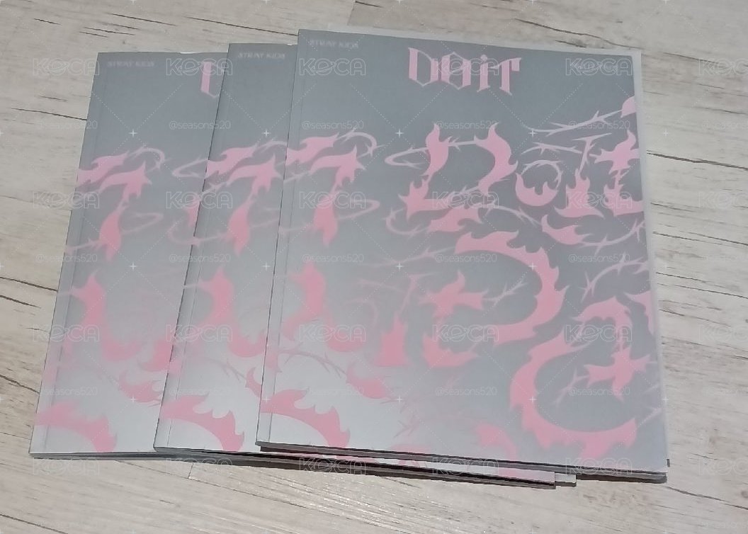 Stray Kids DO IT 空專