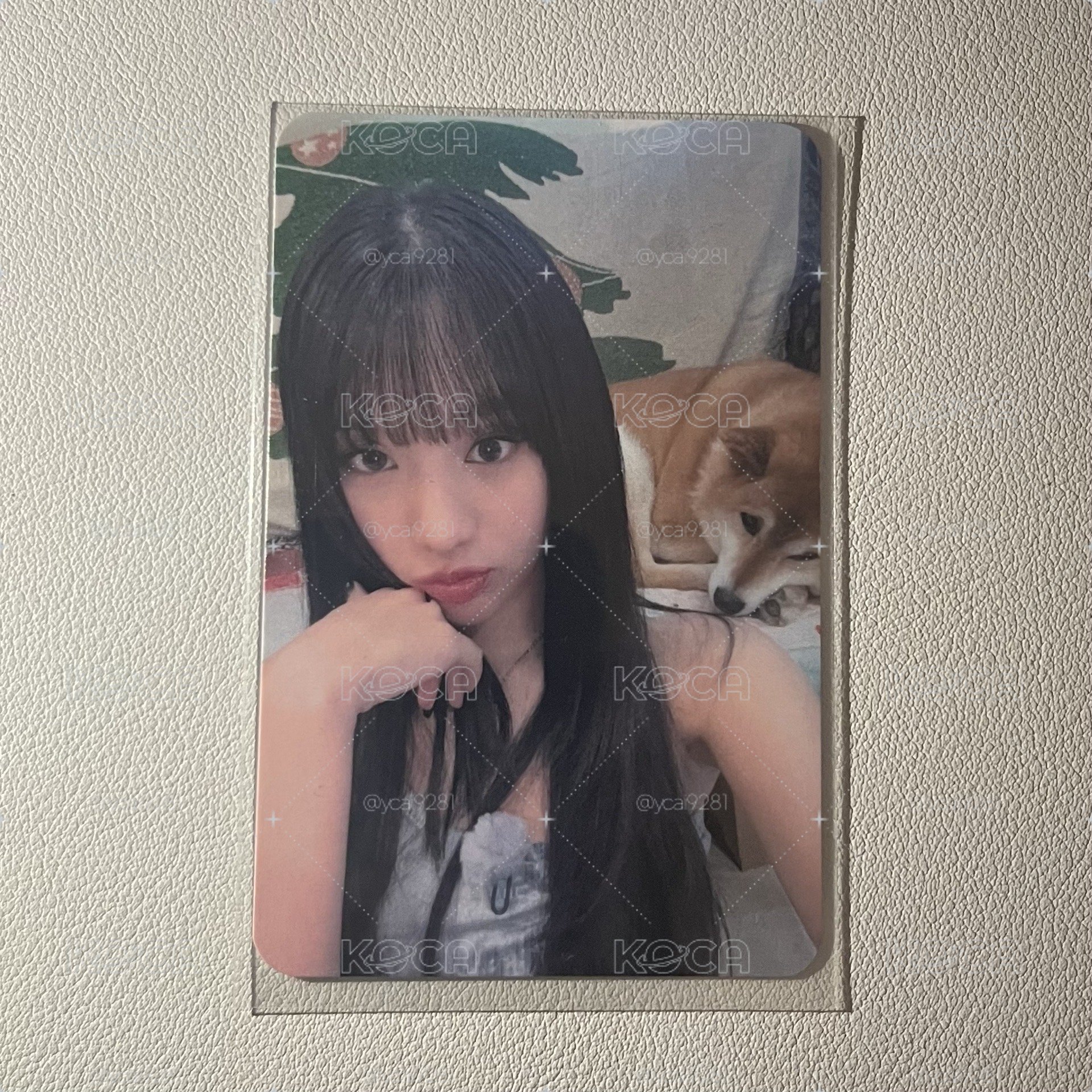 Natty 224特典 柴犬