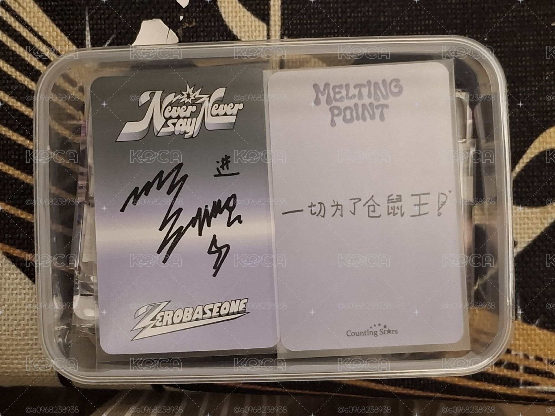 數星星 一切為了倉鼠王