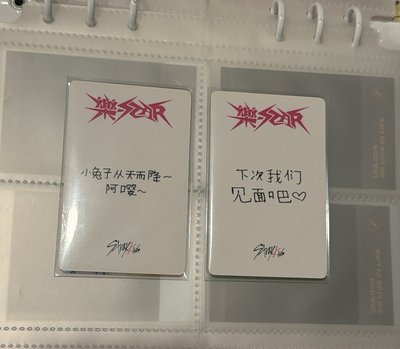 樂yzy特典 中背