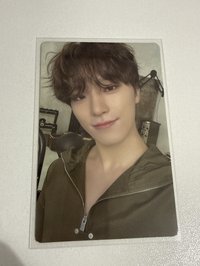 8.Dino