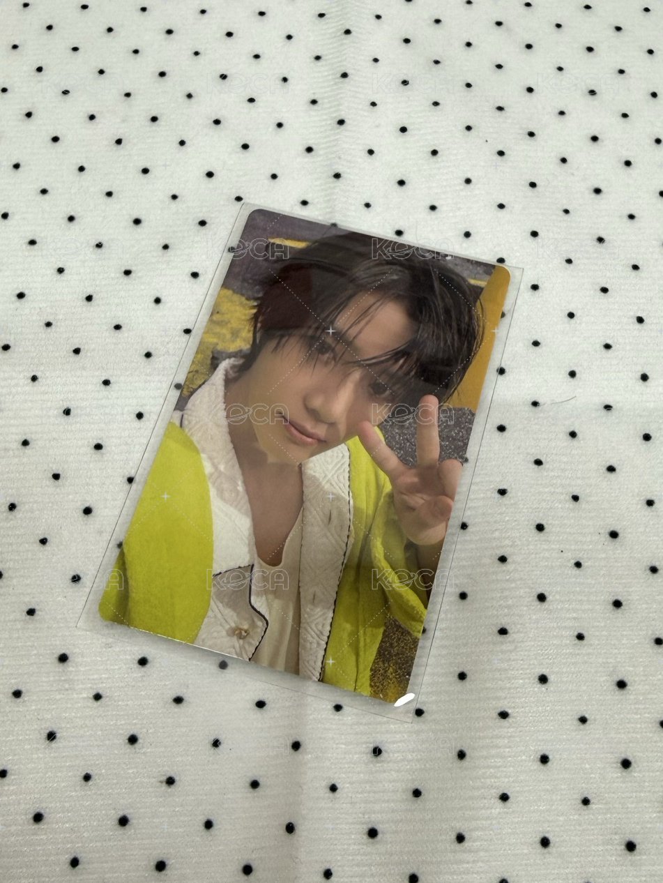 💜wvs 1.0圭
