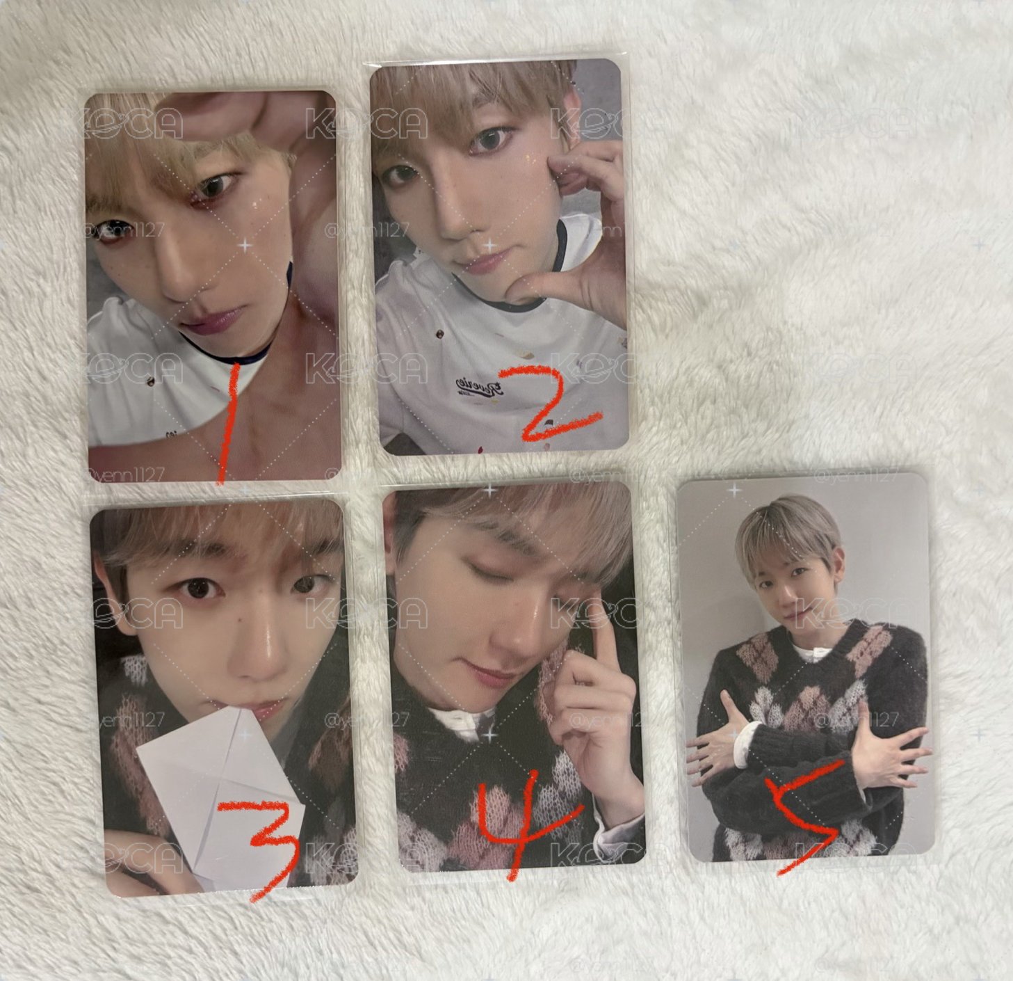 現貨 baekhyun 伯賢 whoop 日本簽售小卡