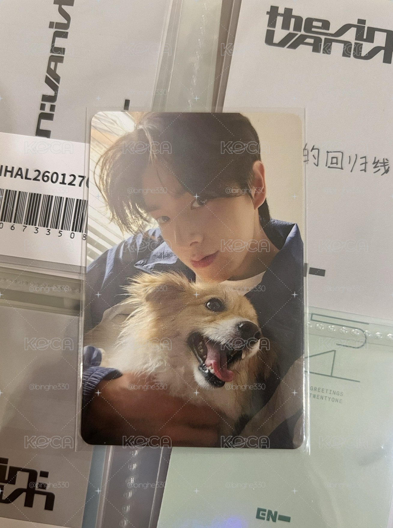 兩隻小狗🐶汪汪汪🐕