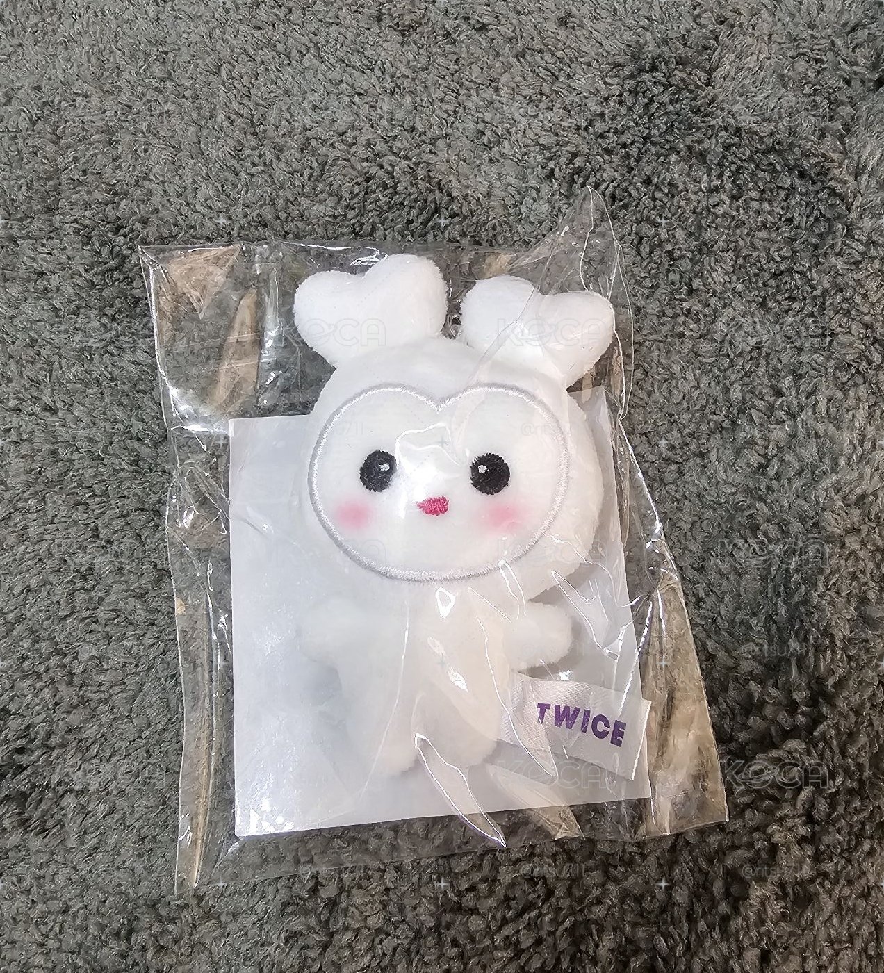 TWICE 豆豆眼 多賢 