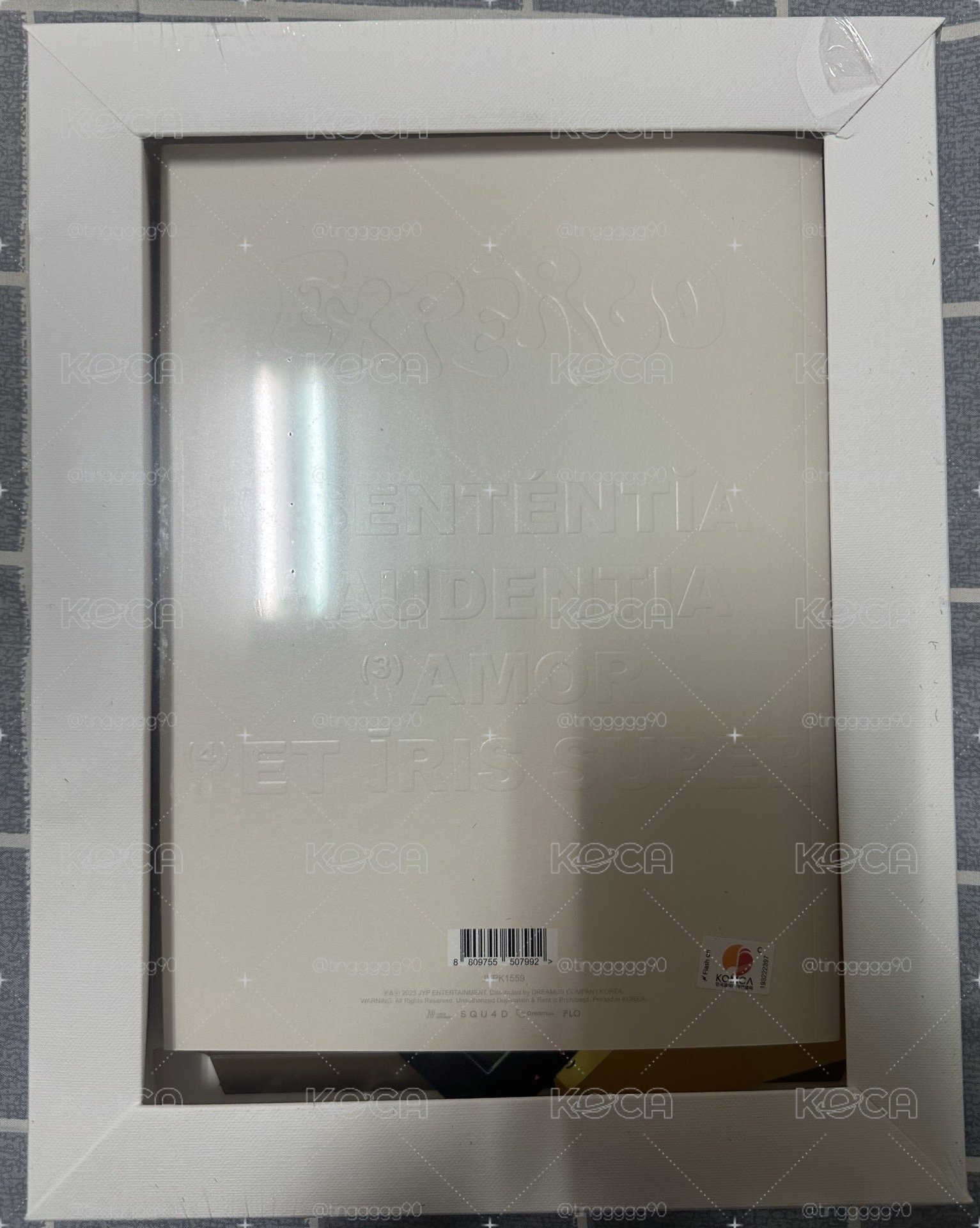 NMIXX 油畫專 友