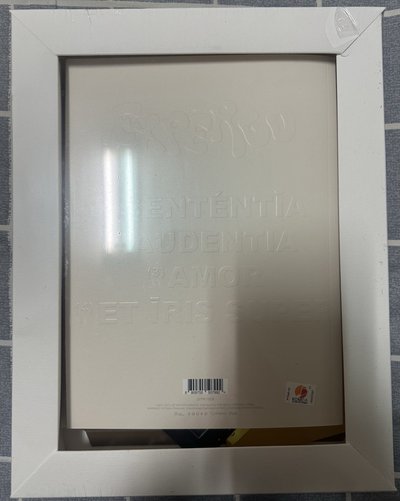 NMIXX 油畫專 友