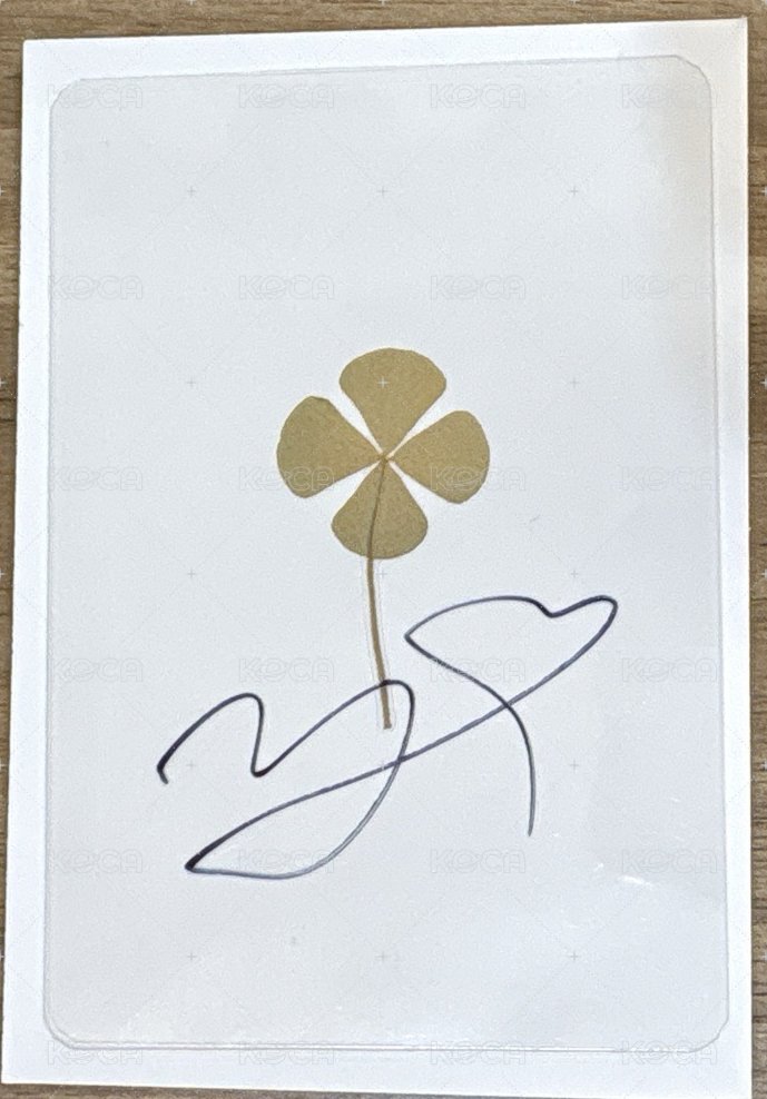 幸運草🍀書簽（有損）私訊看況