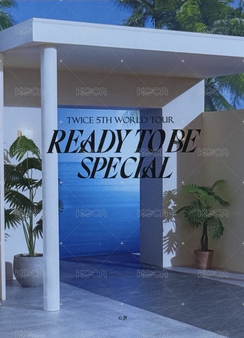 五巡SPECIAL 明信片 大卡 99 背面