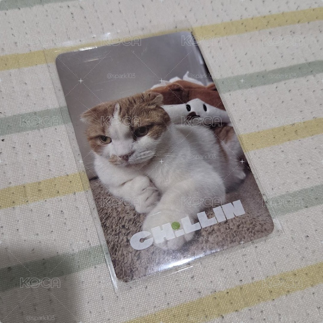 ggomo 面紙套小卡