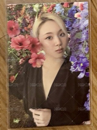 正規二花牆彩