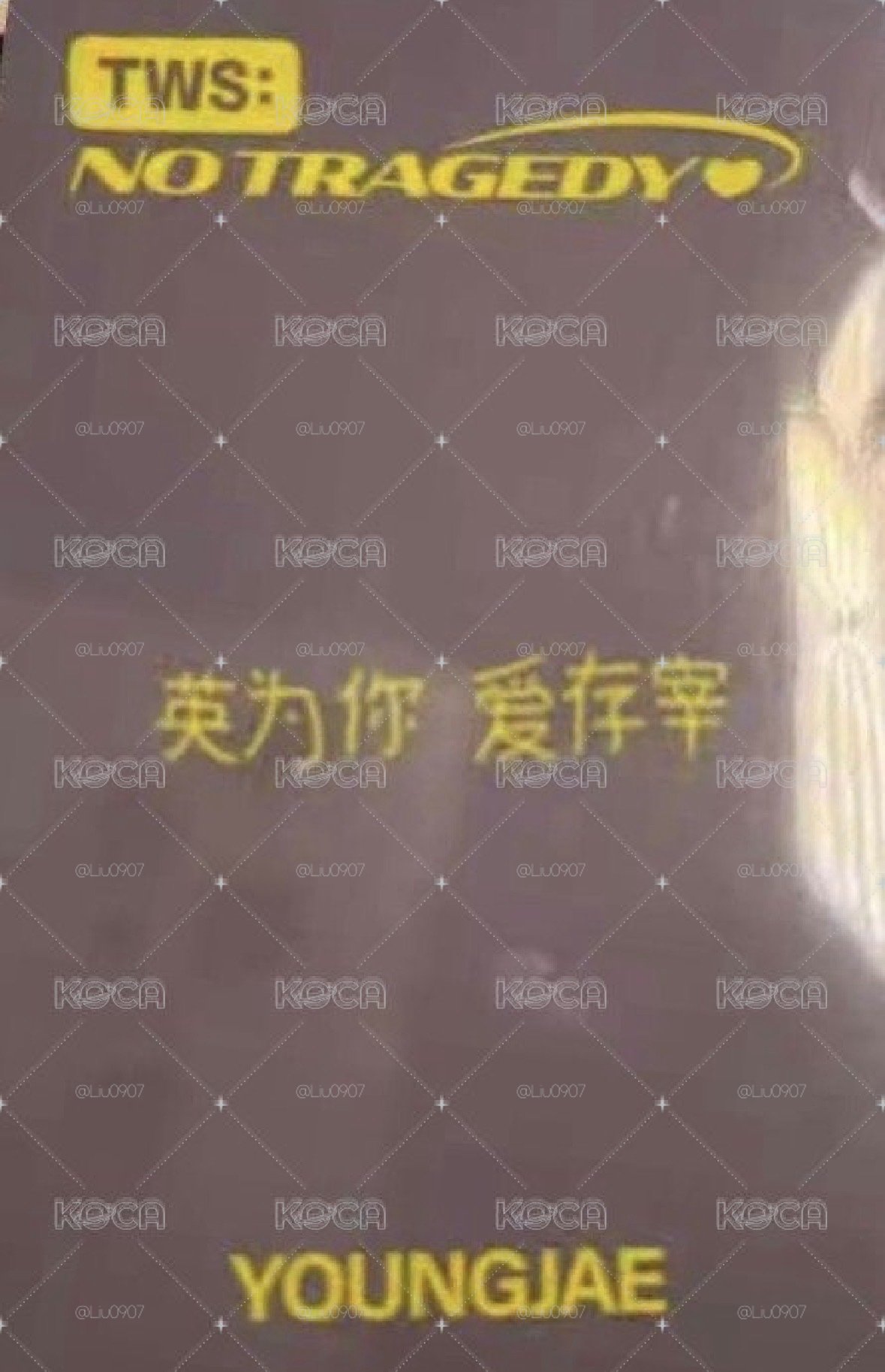 英宰yzy1.0中文卡背