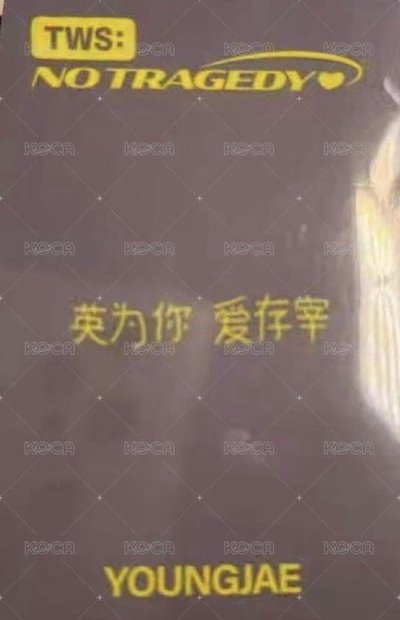 英宰yzy1.0中文卡背