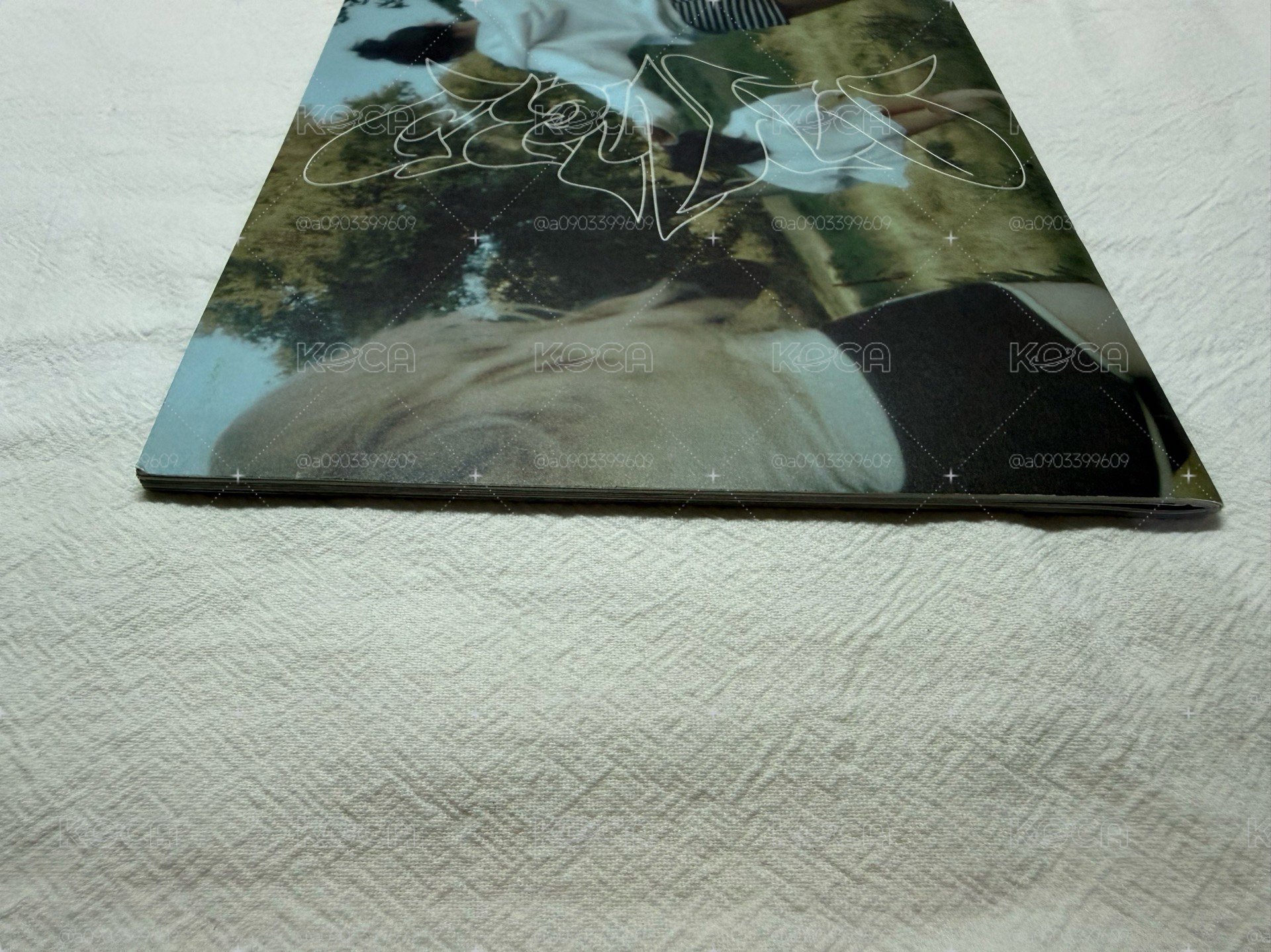 🌲🌱🌿☘️🍀🍃空專