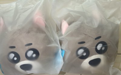 BBNEXDO 抱枕 現貨