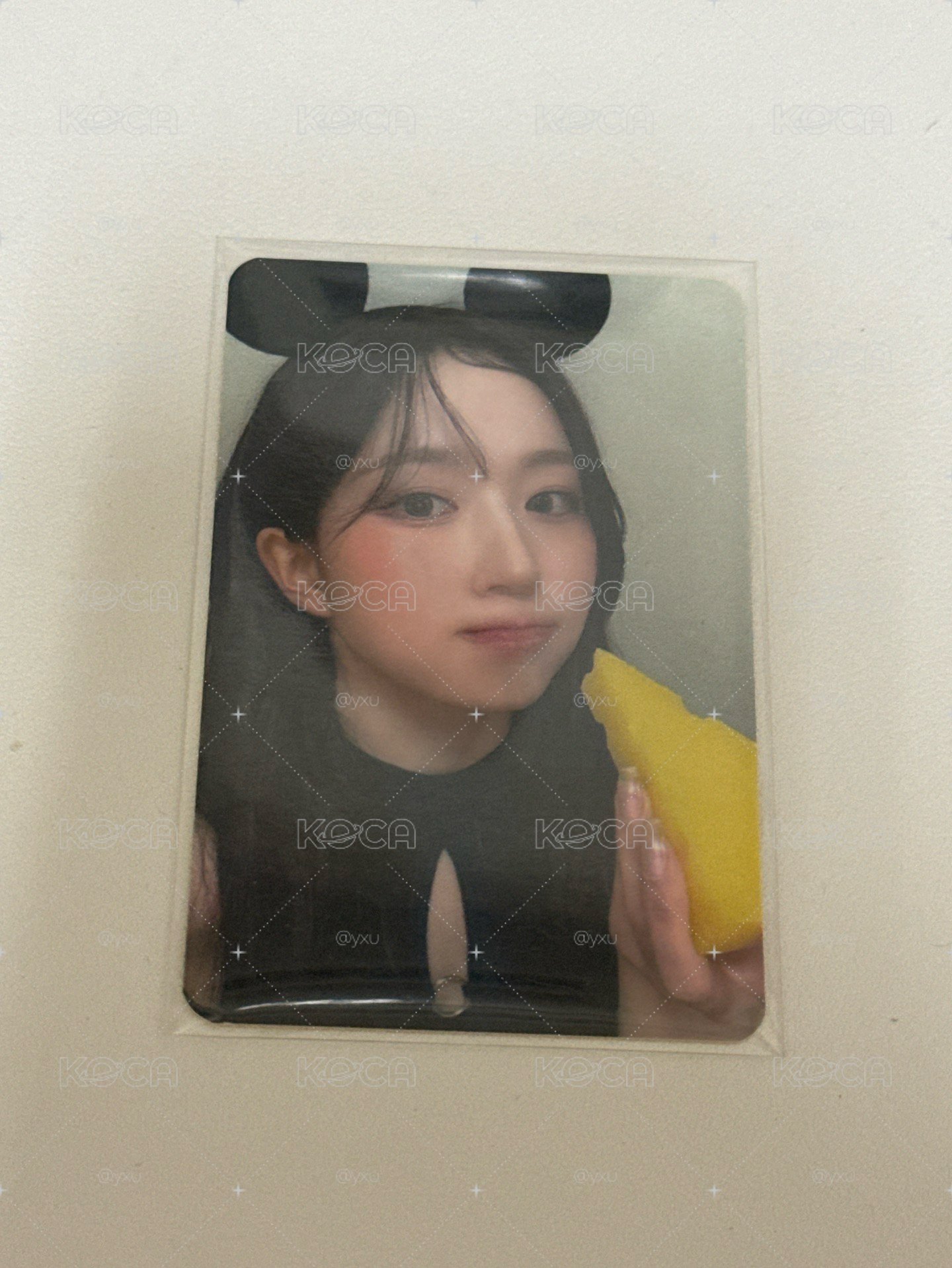 奶酪嫄🧀