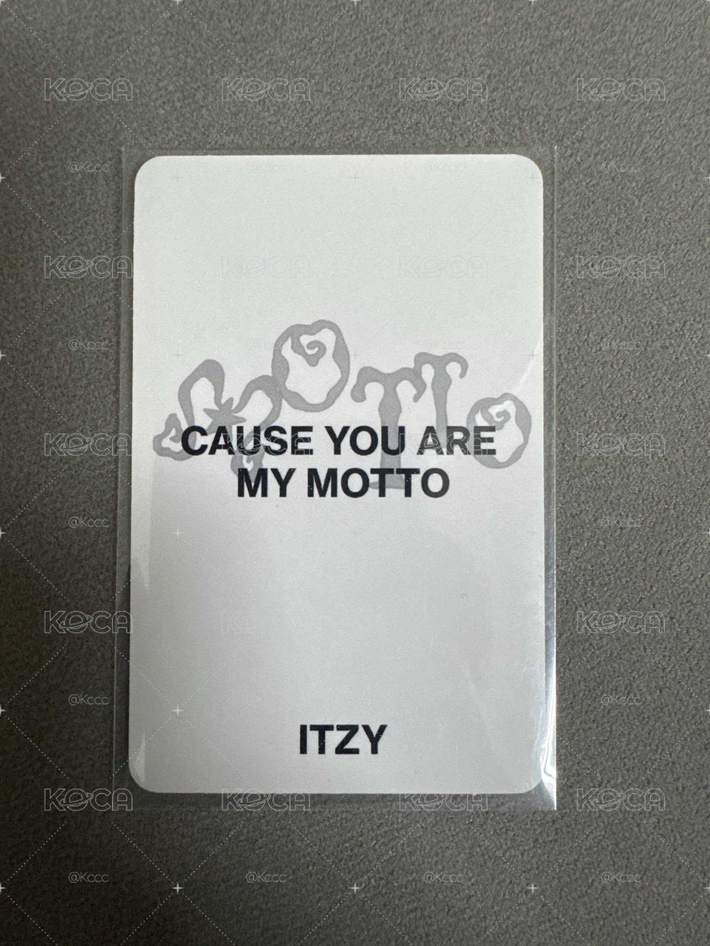 motto特別版預售禮粒
