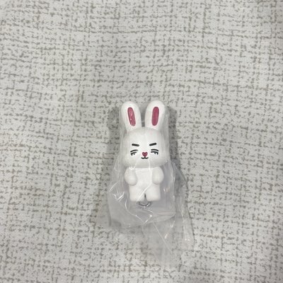SEVENTEEN 崔勝喆 扭蛋 Miniteen s.coups 日本 百代