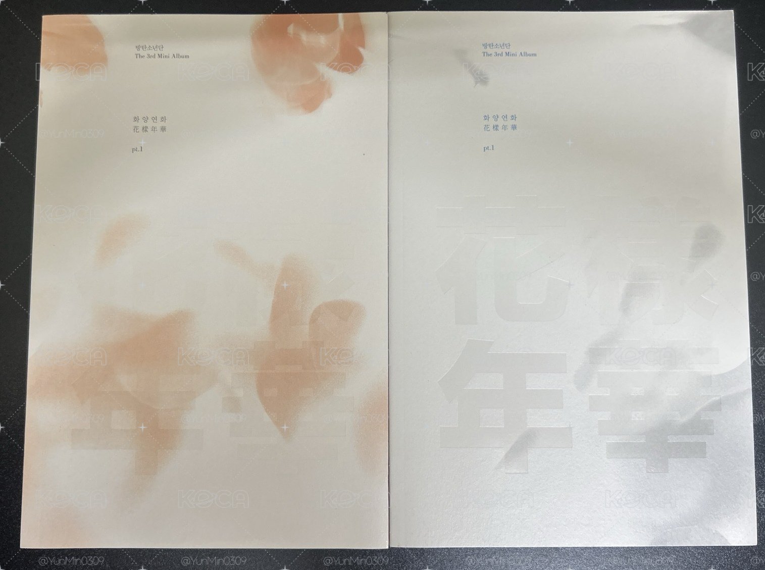BTS 防彈少年團在 第三張迷你專輯《花樣年華 pt.1》