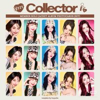 Collector 個人盤