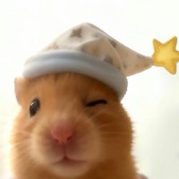 吉