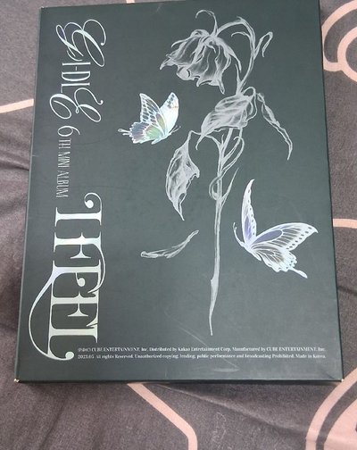 迷六蝴蝶空專