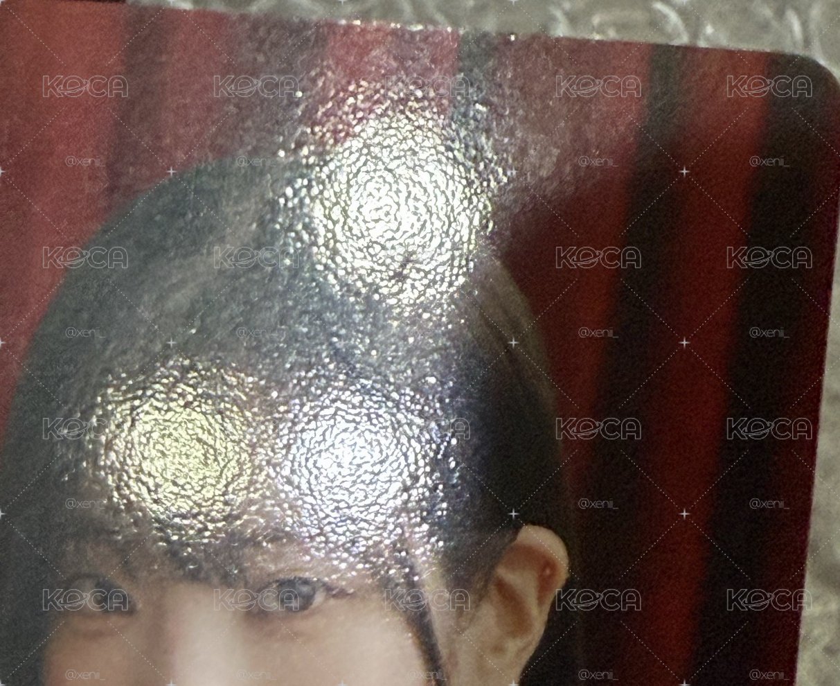 多賢新國立立牌卡套+熊帽多