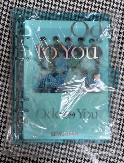 (現貨 一日左右寄出）seventeen 2019 ode to you 卡冊 