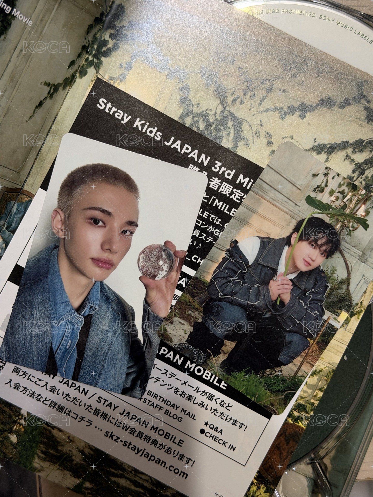 初回a盤