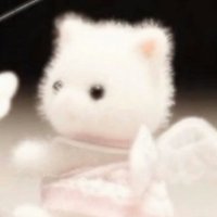 帕布小貓