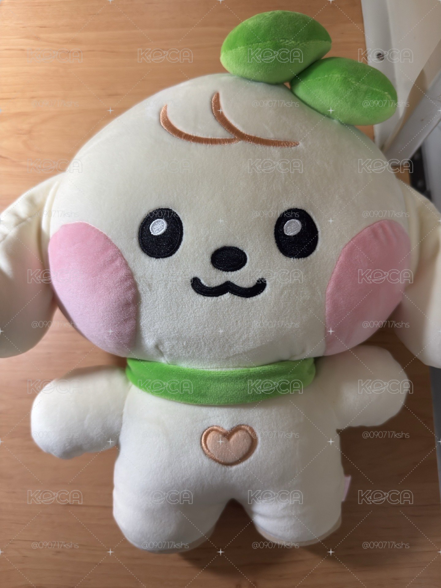 IVE LINE FRIENDS聯名 安大娃