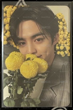 捧花喆