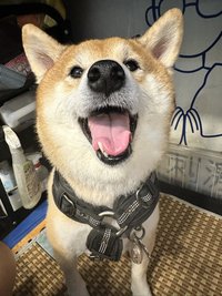 阿洋