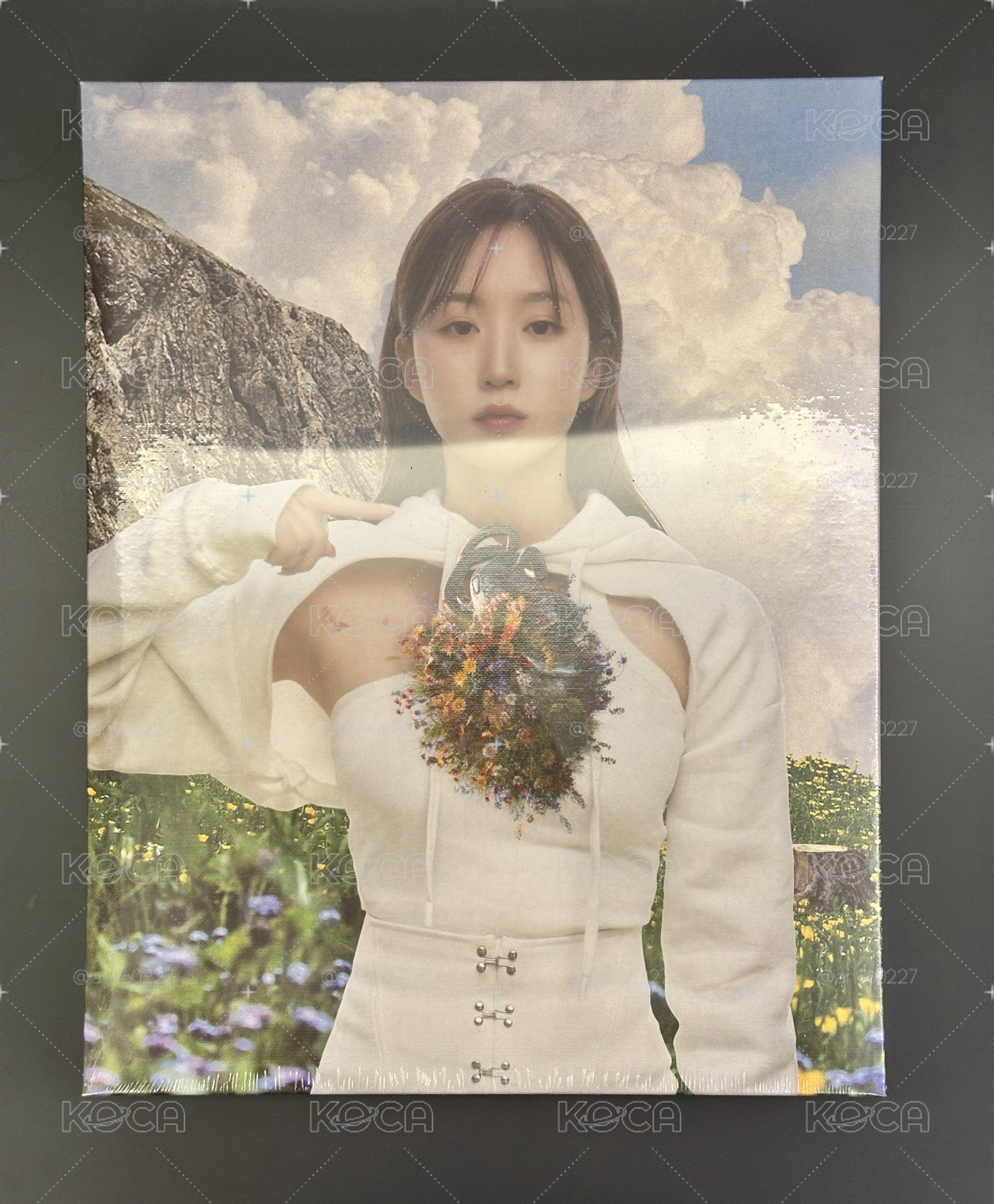 ❗️海嫄全新未拆❗️限量版油畫專