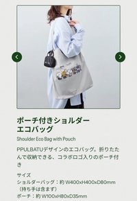 可折疊收納環保袋附黑色收納包
