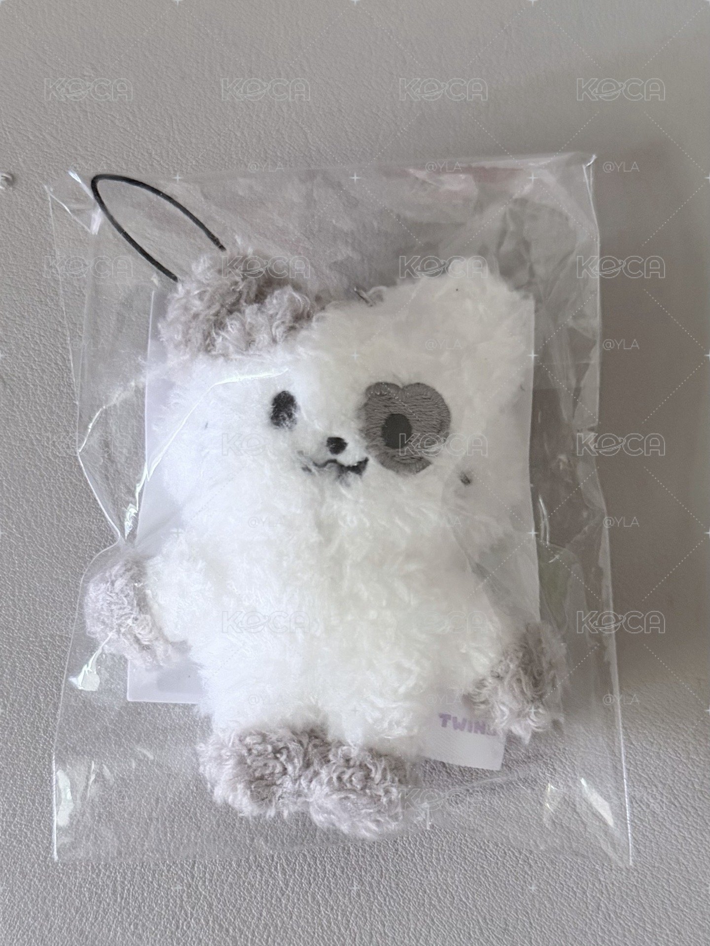 志潦草娃