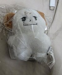 右