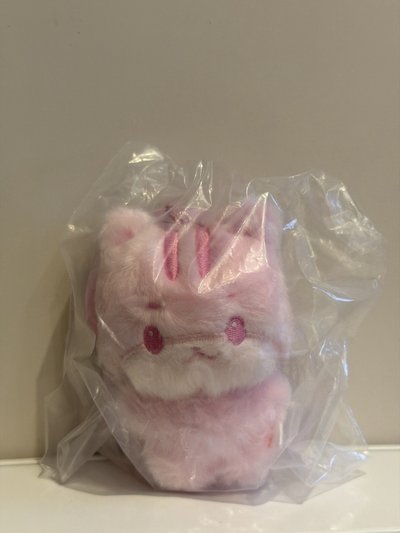 戀愛運鼠鼠💕（含卡）