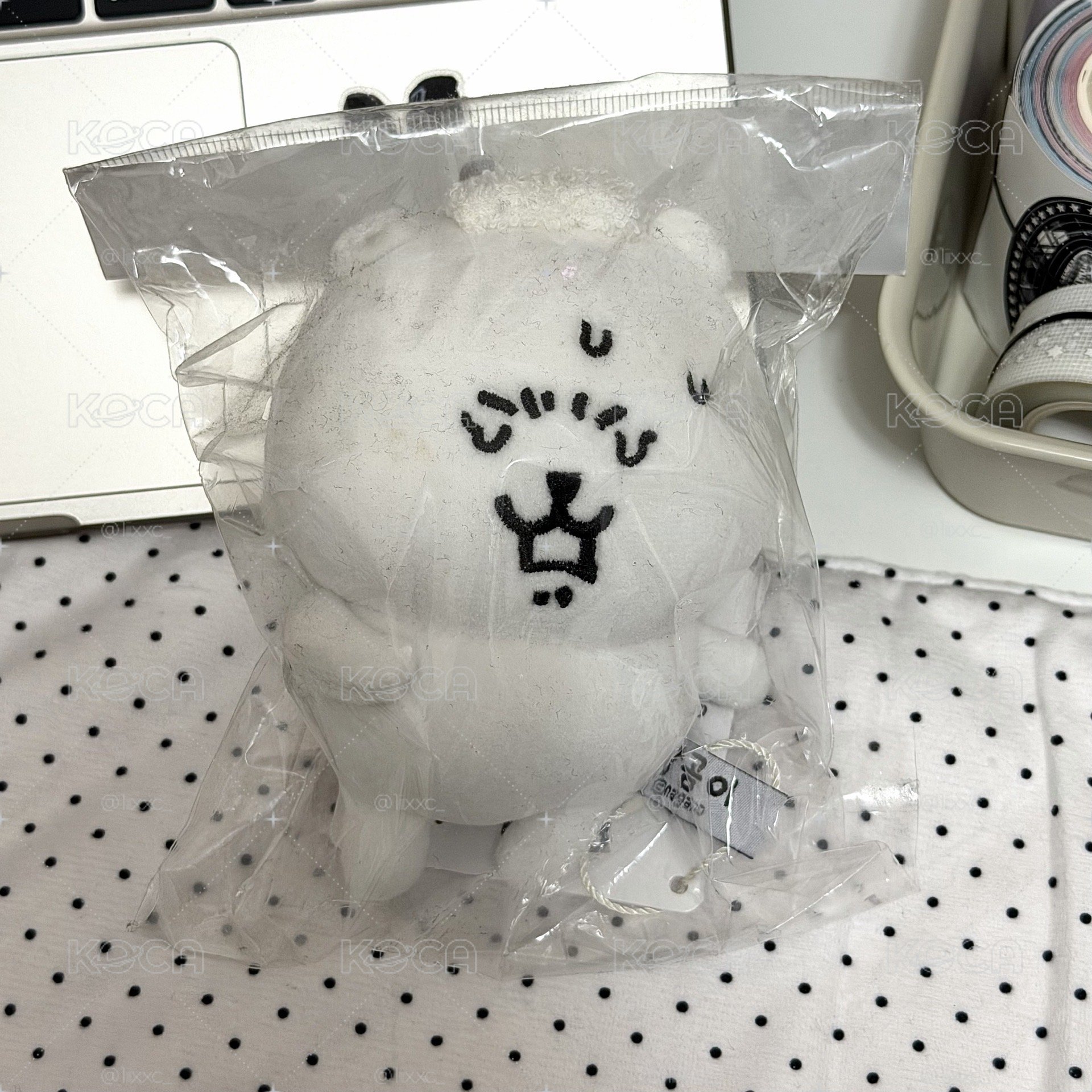 ·̩͙໒꒱·̩͙ 自嘲熊 🪄汗蒸熊 ◝✩