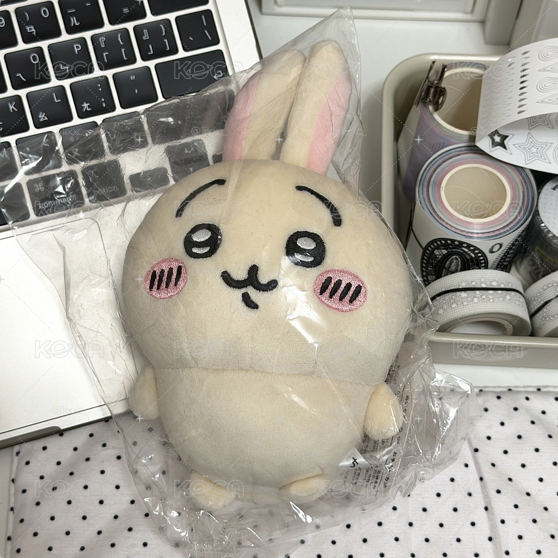 ·̩͙໒꒱·̩͙ 烏薩奇 🪄小腳烏薩奇 ◝✩