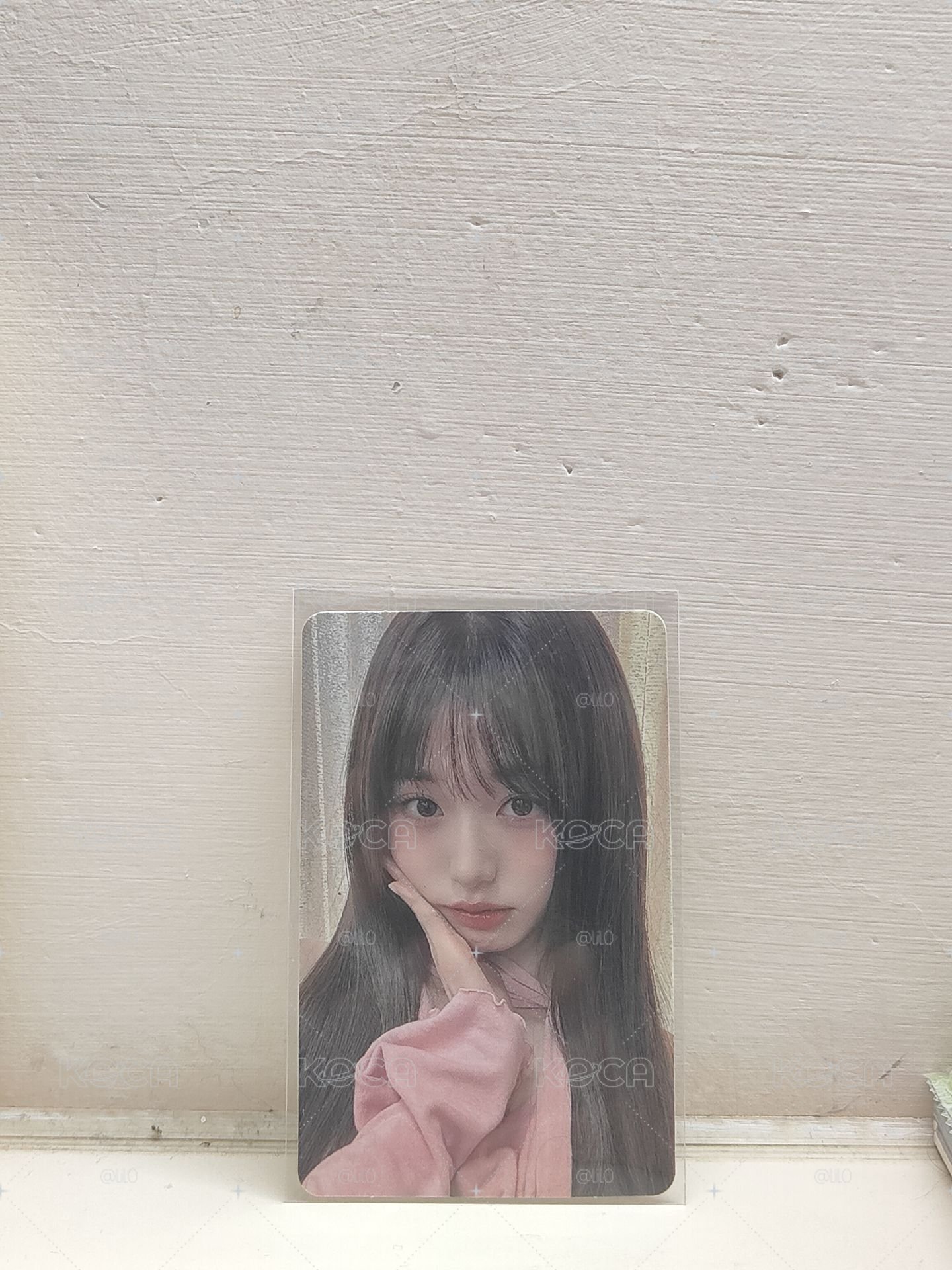 粉衣員ฅ⁠^⁠•⁠ﻌ⁠•⁠^⁠ฅ