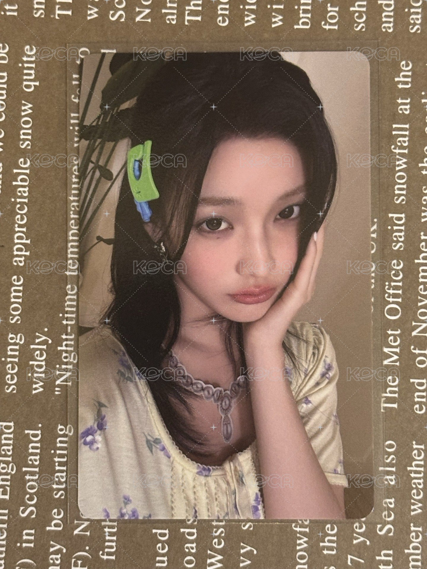 環球預售羽
