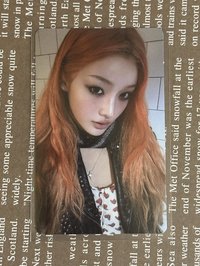 wvs羽