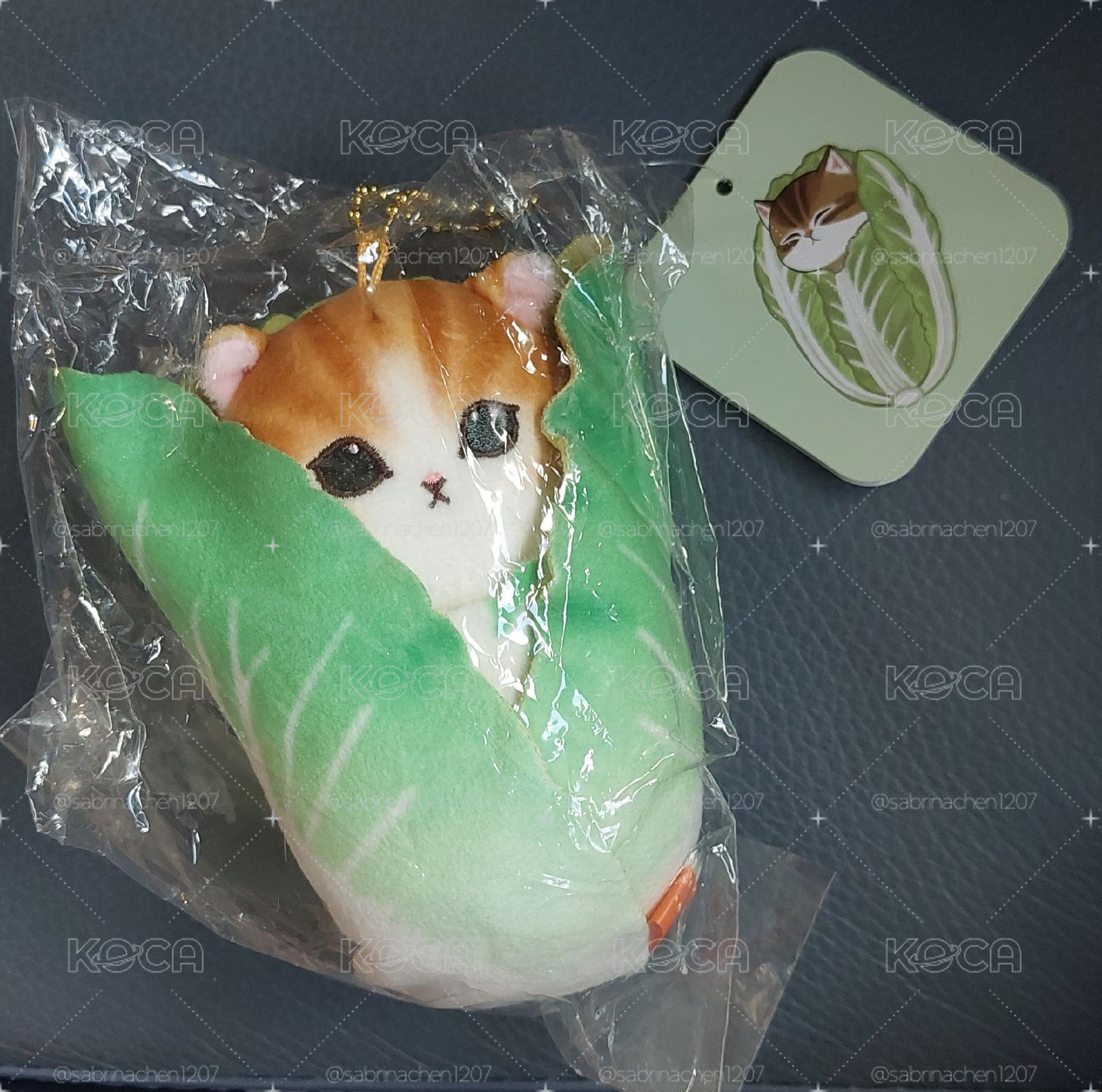 〈牌有折到〉貓福珊迪 白菜